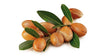 Shampooing à l'Huile d'Argan Marocaine de la Mer Morte Health and Beauty pour des Cheveux Forts et Brillants