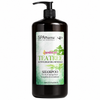 SPApharma Essential Oils Tea Tree Shampoo with Dead Sea Minerals – For Dry & Damaged Hair – 750 ml / 25.3 fl oz
