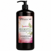 SPApharma Essential Oils Eucalyptus Conditioner with Dead Sea Minerals – For Dry & Damaged Hair – 750 ml / 25.3 fl oz