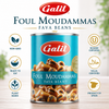 Galil Foul Moudammas Fava Beans, 14 oz Cans, Traditional Mediterranean Fava Beans, Ready to Eat, Non-GMO, Kosher & Halal Certified, Product of Spain – Pack of 2